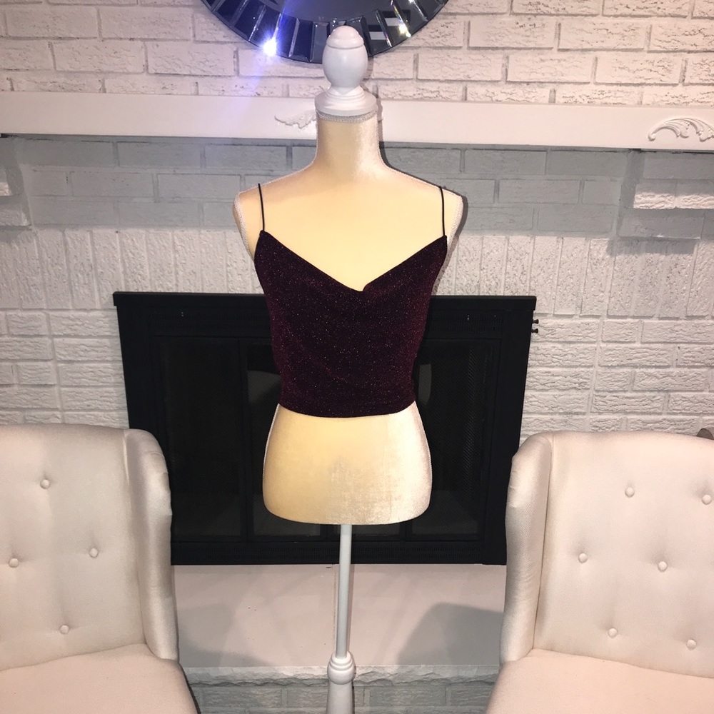 Burgundy Crop Top (Sparkly)